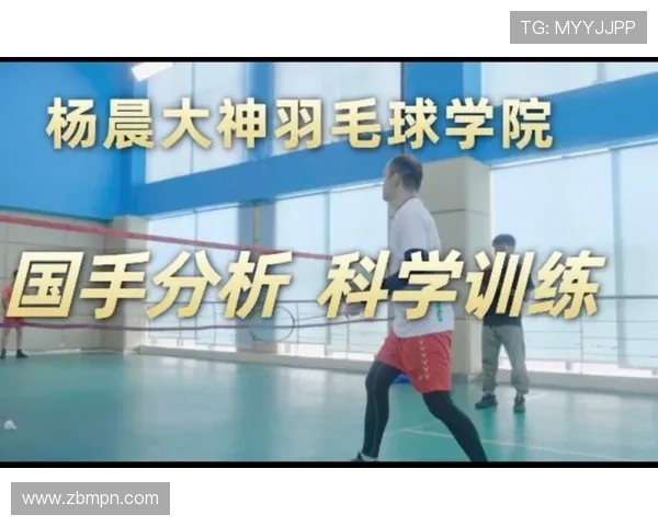 北京羽毛球队总决赛技术分析与表现评估探讨